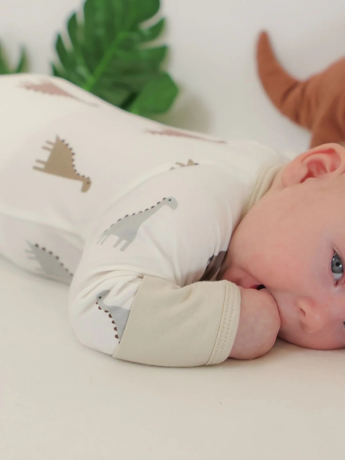 gallery_image_684d77c2a2ce9
